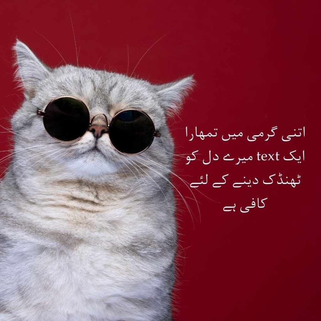 Urdu-summer-lines