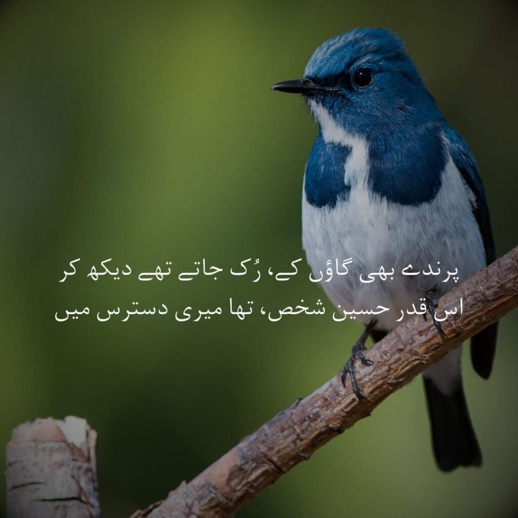 love-poetry in Urdu