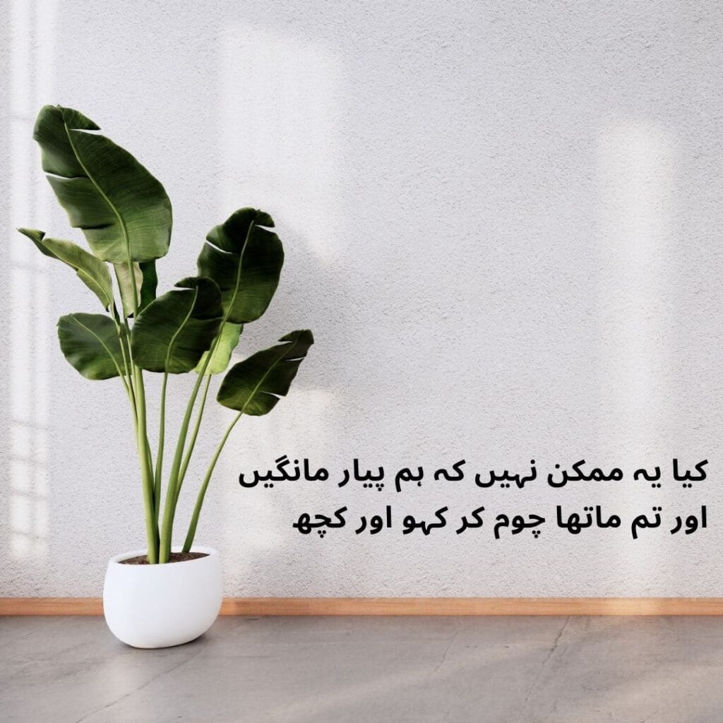 love-poetry in Urdu