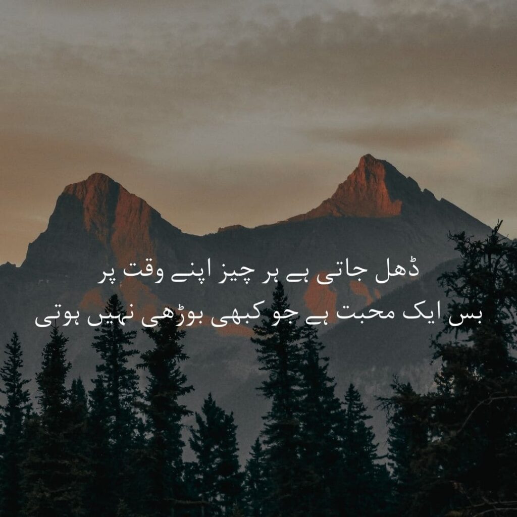 love-poetry in Urdu