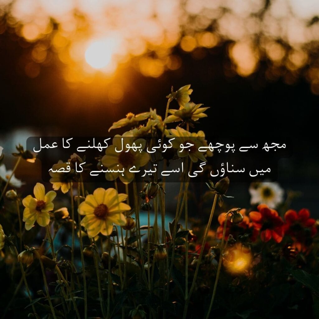 love-poetry in Urdu
