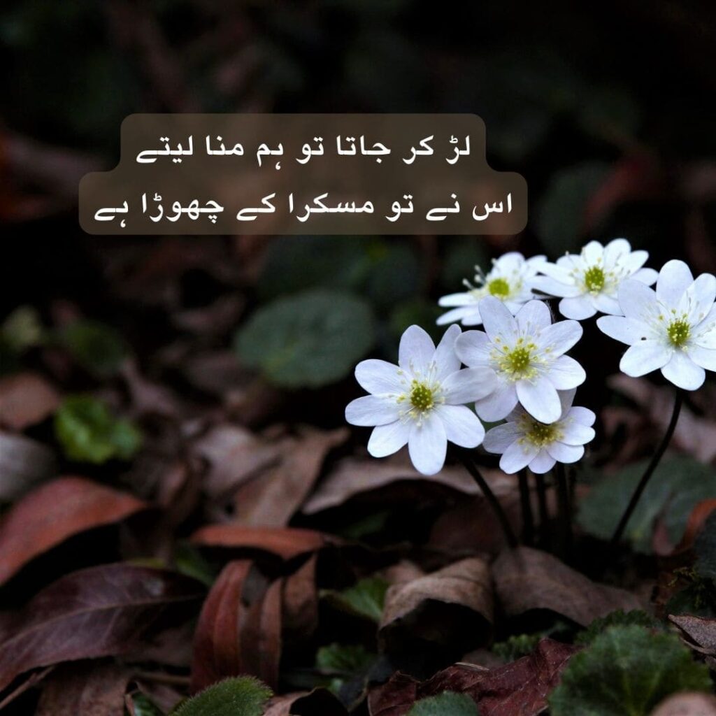 sad-Urdu-poetry
